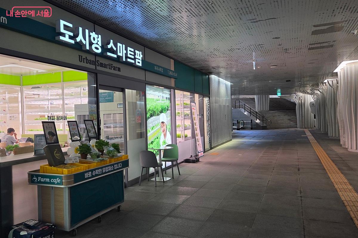 도시형 스마트농장과 식물을 형상화한 기둥이 이어지는 서울식물원 연결 통로 &copy;이상돈