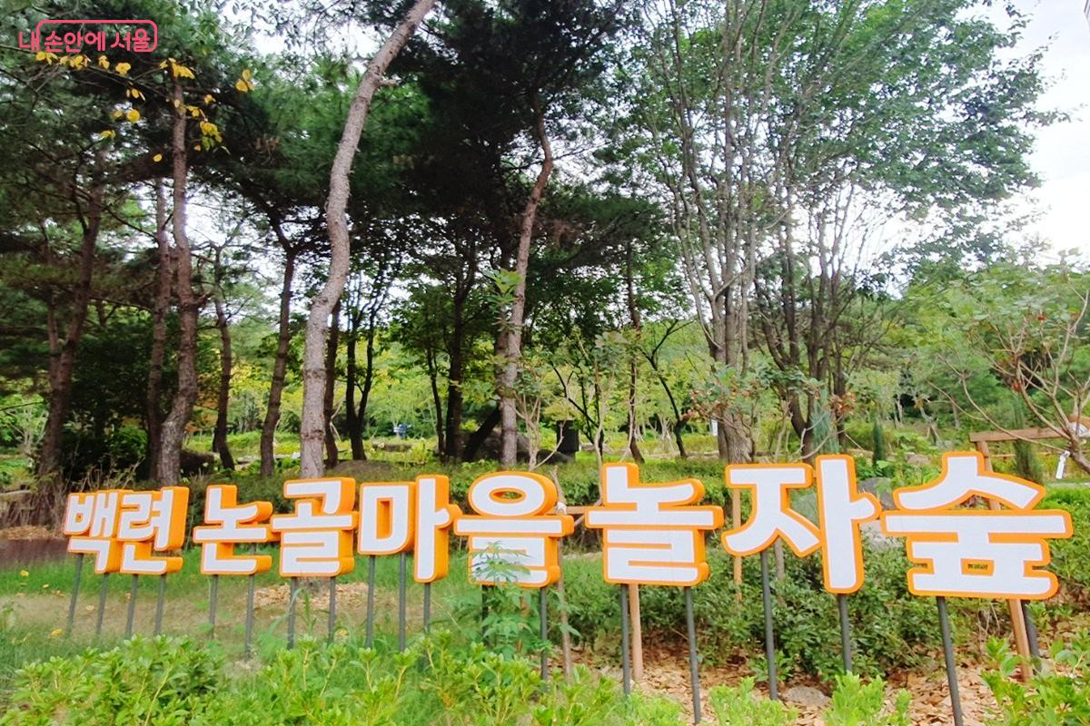 7월 28일, 서대문구 백련근린공원에 개장한 &lsquo;백련 논골마을 놀자숲&rsquo; &copy;김병규