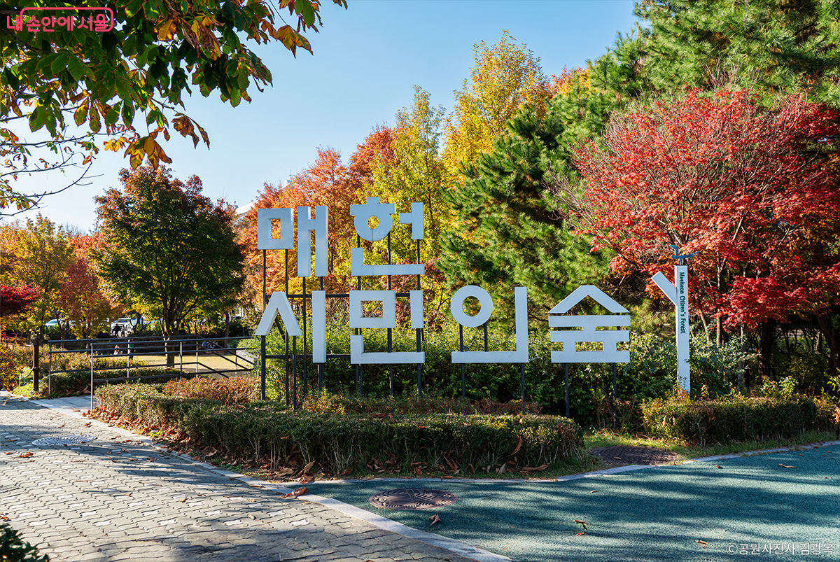 올해 개원 40주년을 맞은 &lsquo;매헌시민의숲&rsquo;