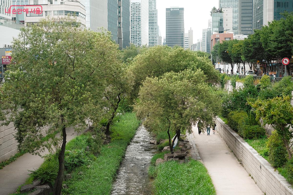 청계천을 따라 걷다 수표교나 관수교로 나오면 을지로골목과 가깝다. ©김아름