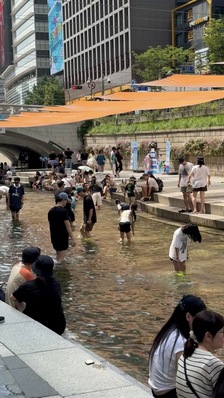 발만 담가도 더위 탈출! 도심 피서는 청계천 '물 첨벙첨벙'