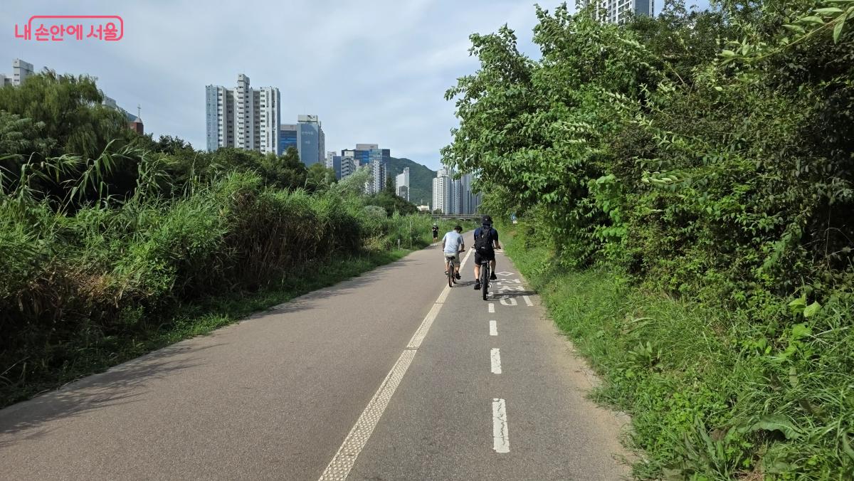 학의천 자전거길은 협소하여 긴장하며 라이딩해야 안전사고를 예방할 수 있다. &copy;최용수