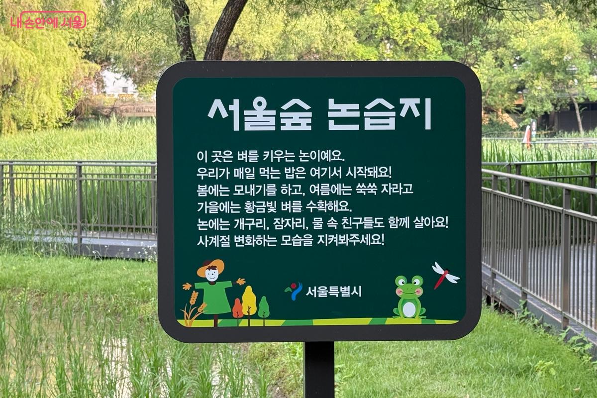 실제 벼를 키우는 공간, 논습지 &copy;임윤아