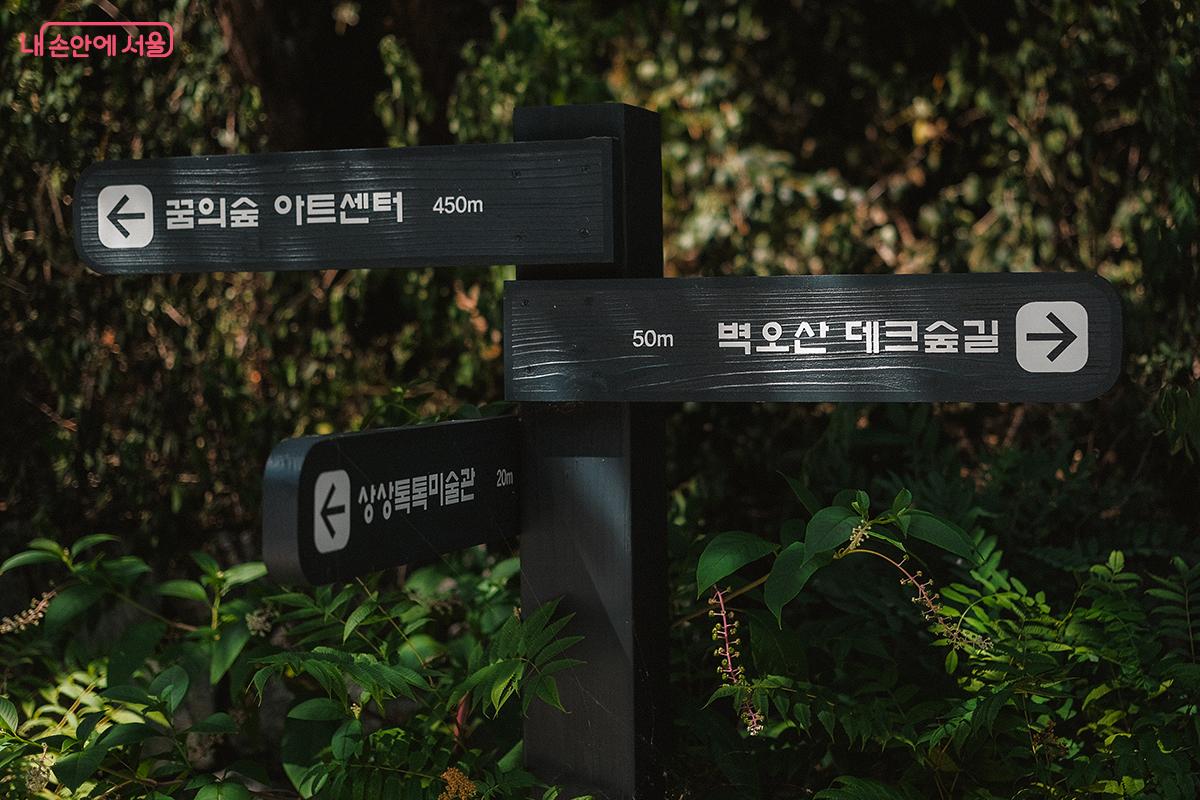 서문에서 동문 근처에 이르는 숲길을 잇는 약 500m의 ‘벽오산 데크숲길’ ©김아름
