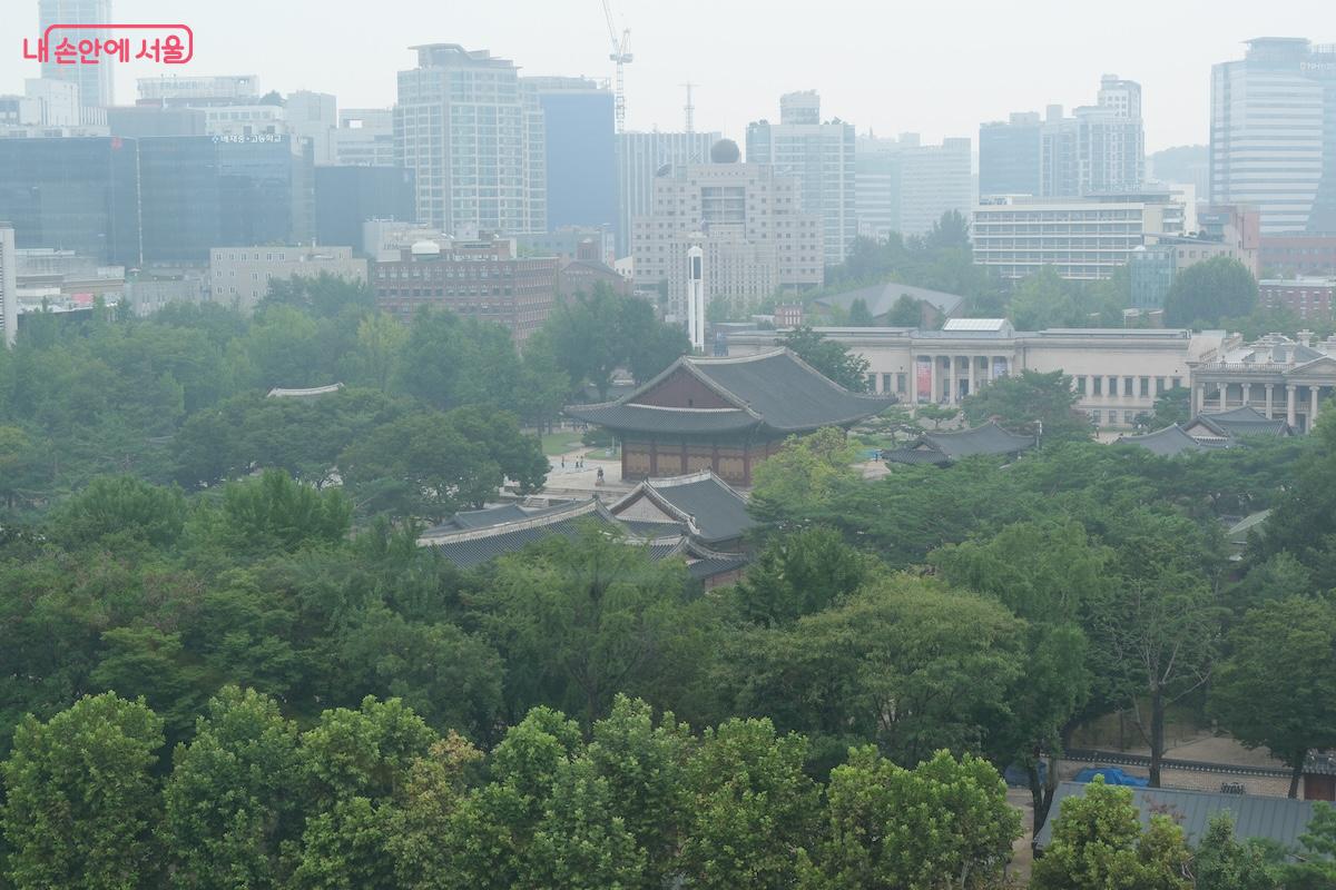 날씨가 조금 아쉬운 날이었지만, 덕수궁을 이런 높은 곳에서 조망할 수 있어 놀라웠다