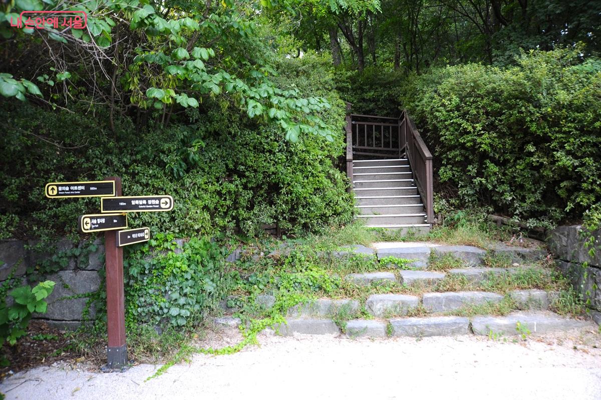 ‘올망졸망놀이숲’이 끝나는 곳에서부터 벽오산 숲속 데크길이 시작된다. ©조수봉