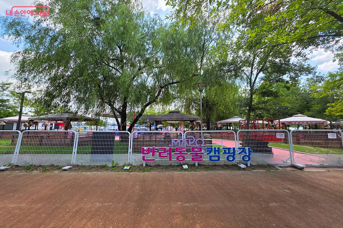 무더위에 시원하게 물놀이를 할 수 있는 마포반려동물캠핑장 ©이정민