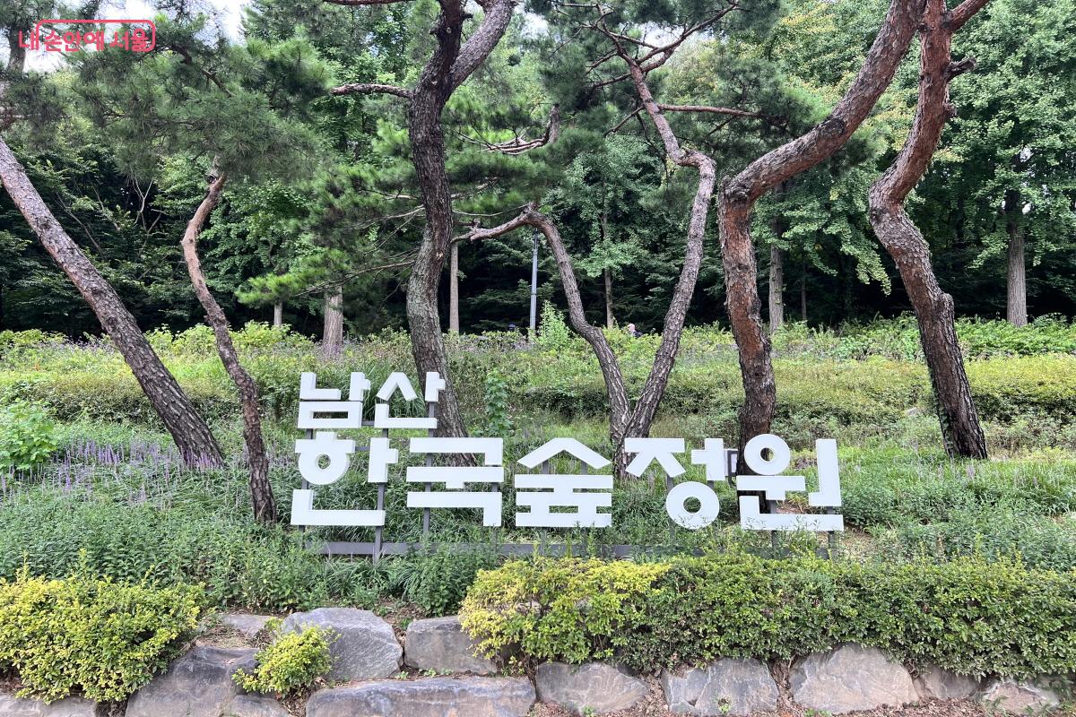 남산 한국숲정원에서는 전통 정원의 멋과 다양한 나무로 조성된 숲을 경험할 수 있다. ⓒ박지영