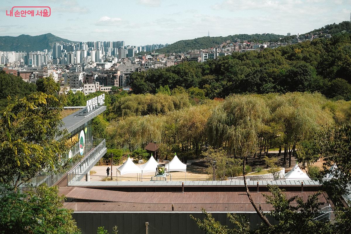 북서울꿈의숲의 울창한 숲을 한눈에 내려다보며 다채로운 풍경을 감상할 수 있는 위치다. ©김아름