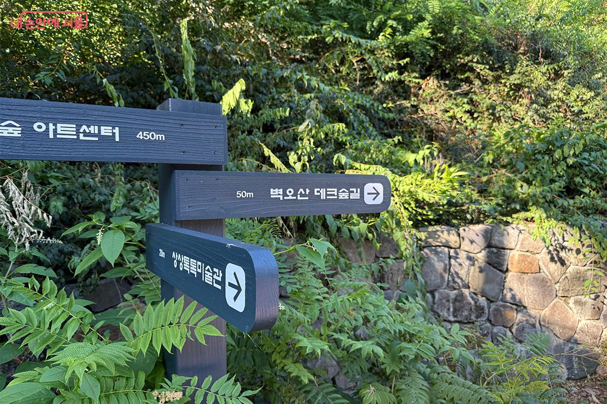 벽오산 데크숲길이 새롭게 조성되었다 ⓒ송수아