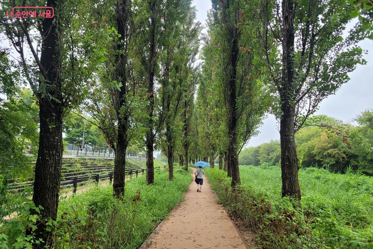 암사생태공원을 지나 광나루자전거공원으로 향하는 길 ©조연