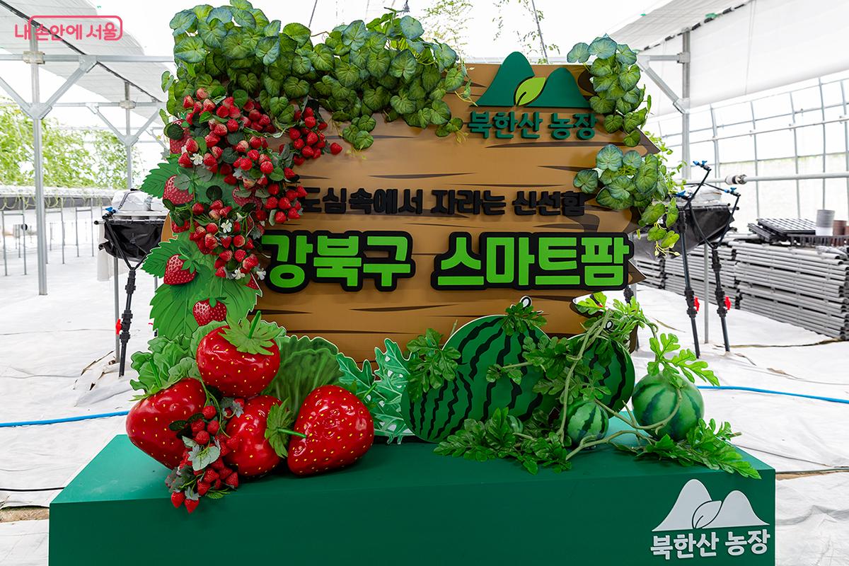 강북구 스마트팜 재배단지 북한산 농장 ⓒ문청야