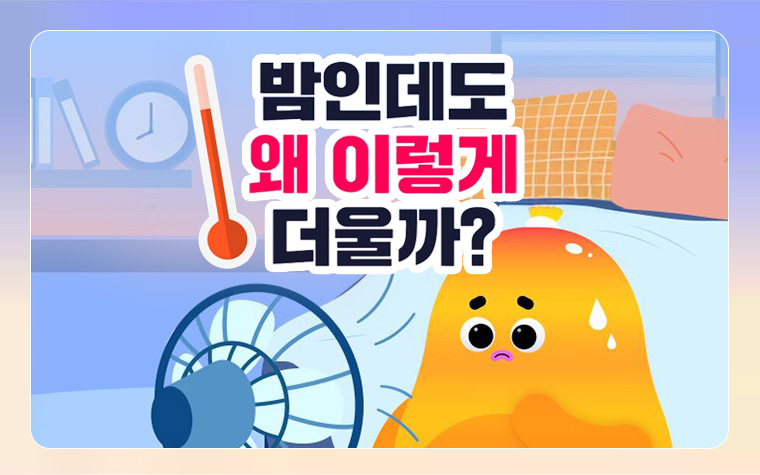 밤에도 식지 않는 더위, 도시를 식히는 시원한 해법은? 