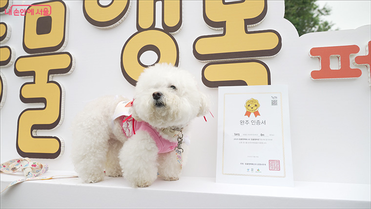 동물행복런에 참여하면 완주 인증서가 제공된다. 