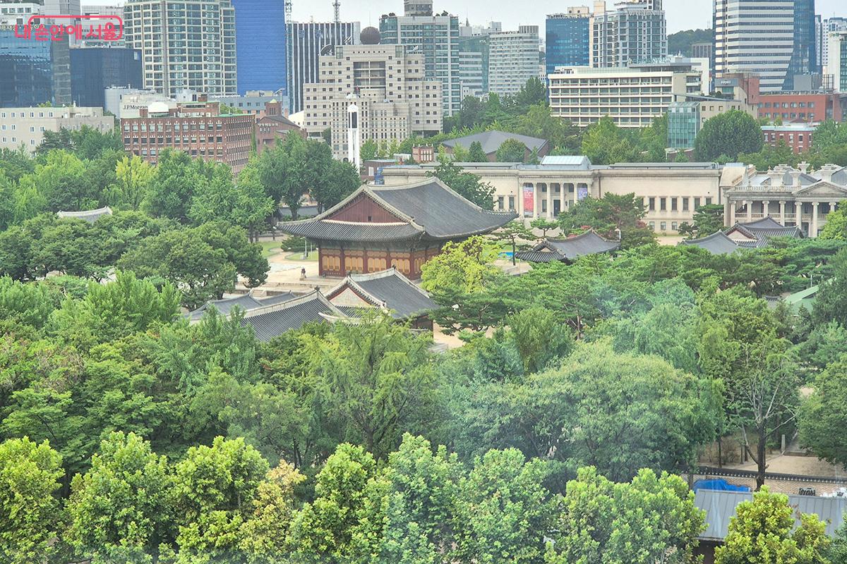 커다란 유리창 너머로 내려다보이는 서울 시내의 모습이 평화롭다.