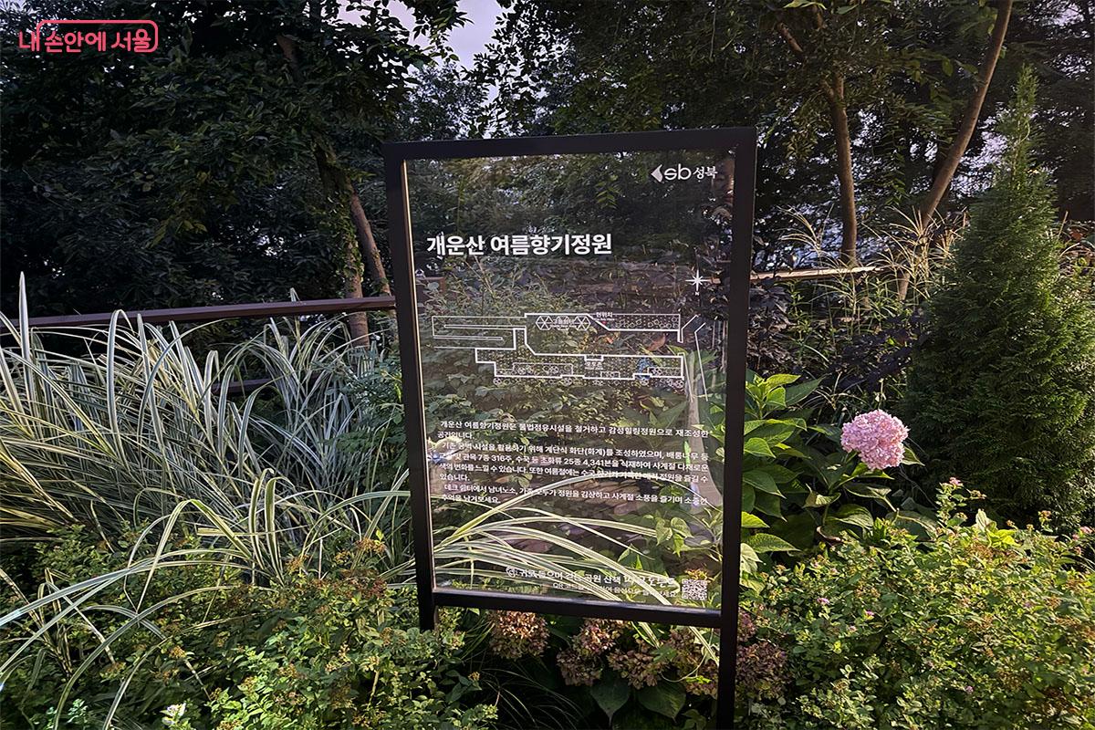 '개운산 여름향기정원'은 무단 점유시설을 철거하고 만든 힐링 공간이다. &copy;송수아
