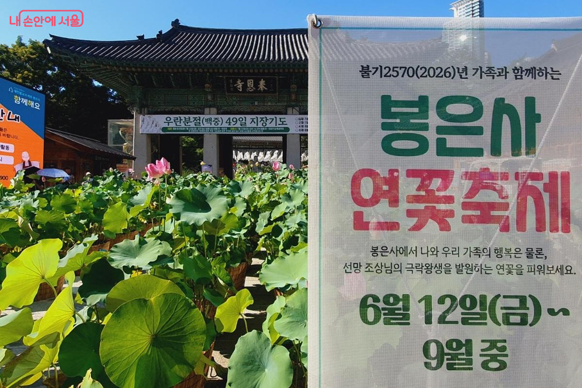 9월까지 열리고 있는 '봉은사 연꽃축제' &copy;김병규