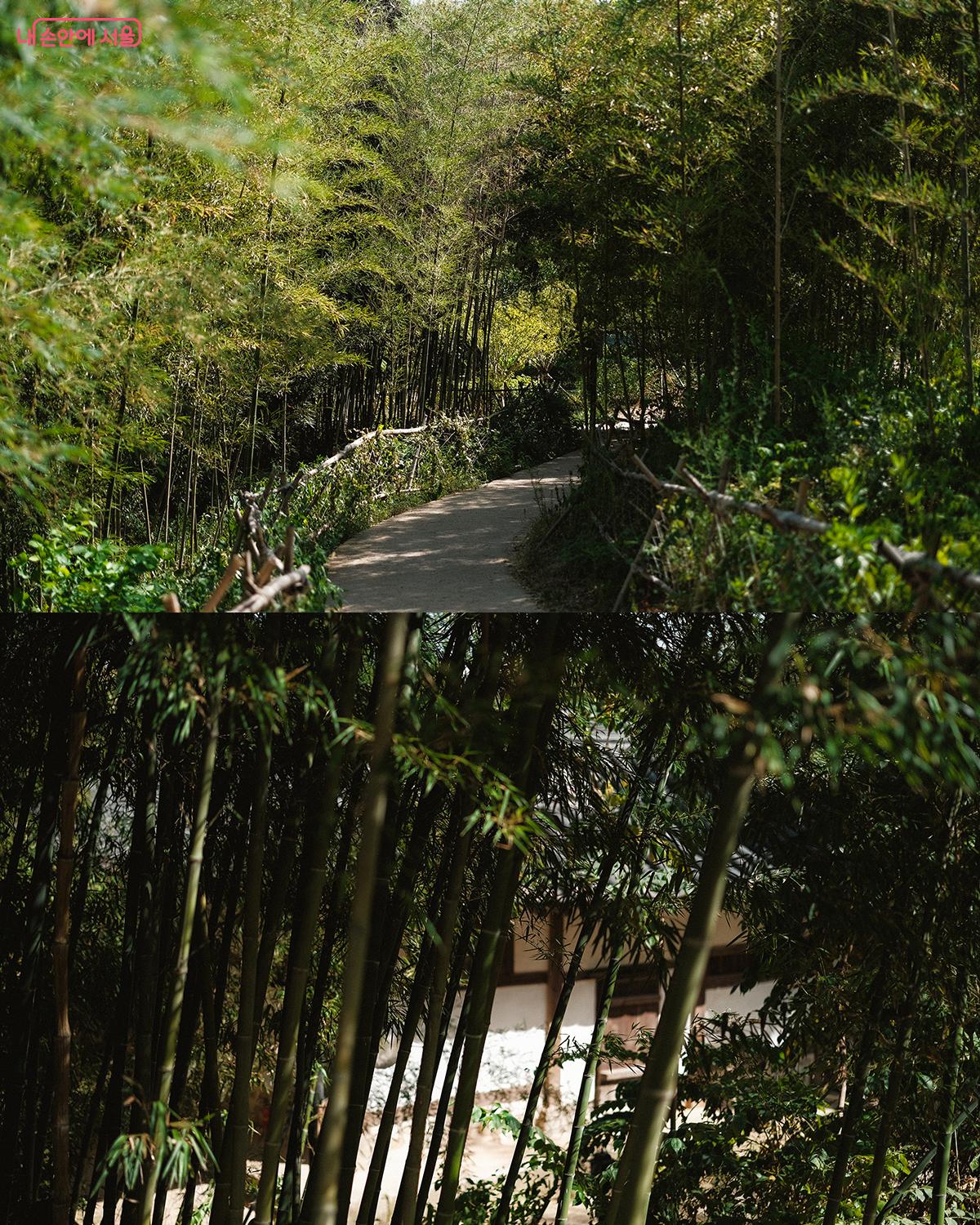 전통적인 경관을 현대적으로 재해석한 ‘이야기정원’ ©김아름