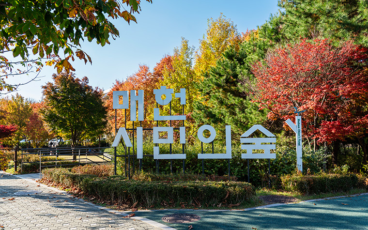 올가을엔, 모여봐요! '매헌시민의숲' 50여개 정원 조성