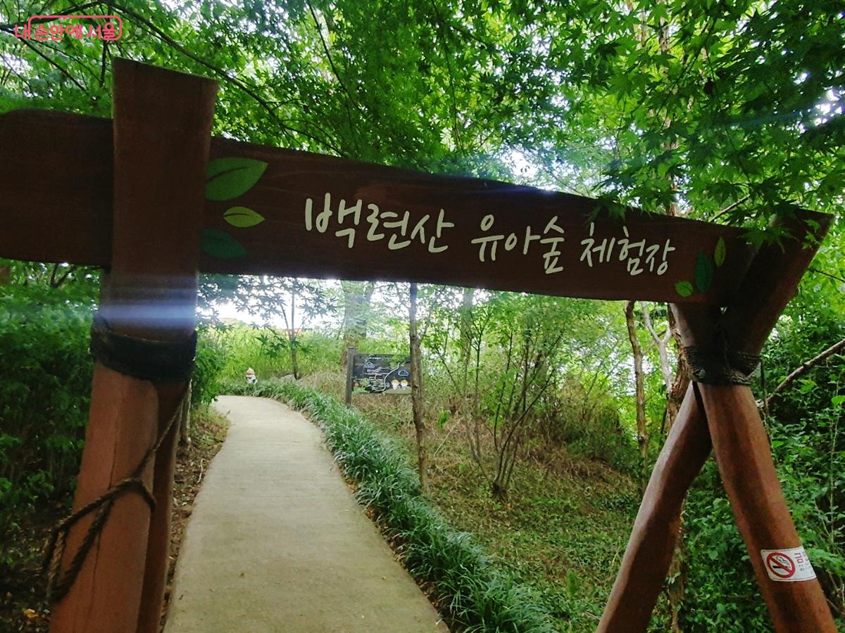 놀자숲은 백련산유아숲체험원과 인접해 있어 연계 프로그램이 운영되고 있다. &copy;김병규