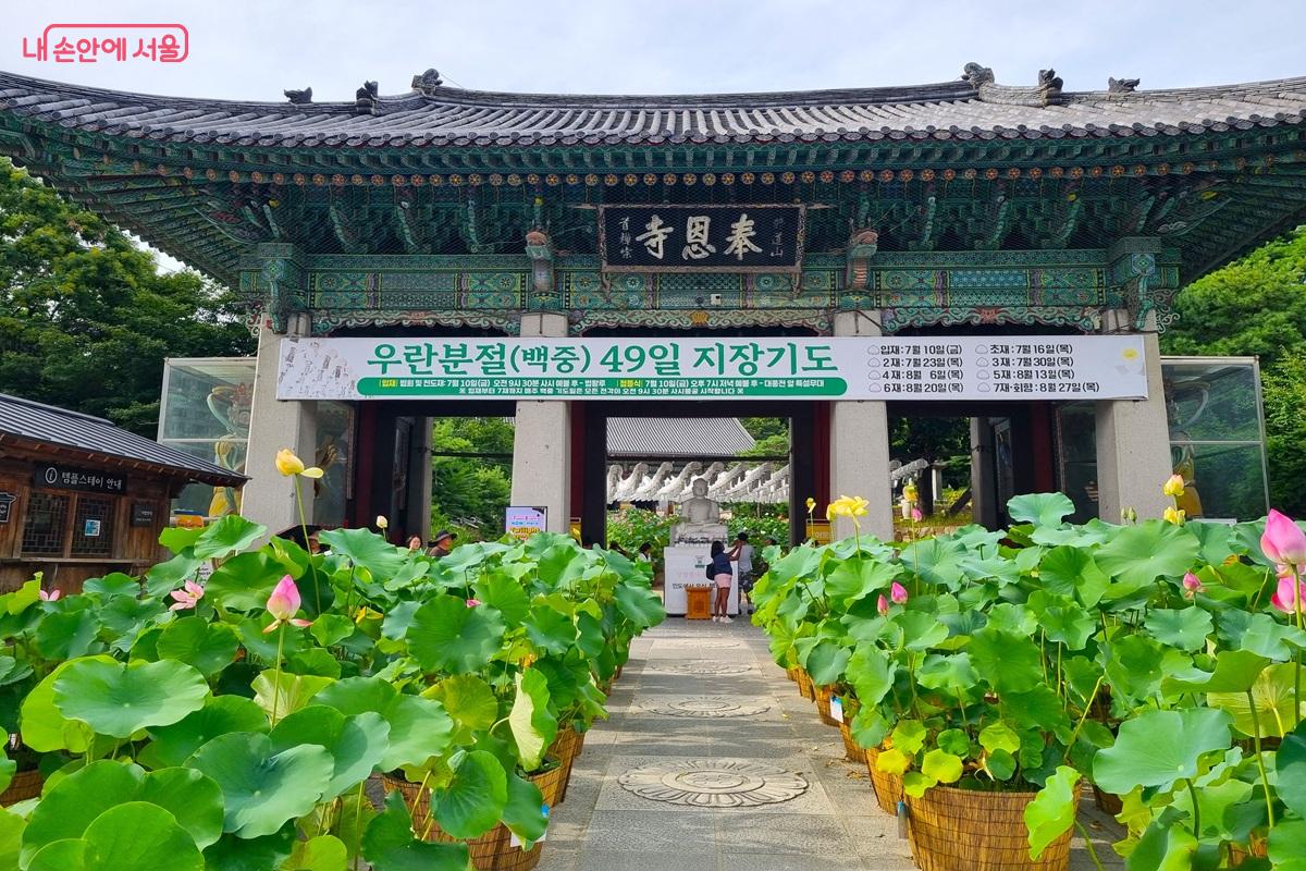 이번 &lsquo;서울에디션25&rsquo; 투표 중 단일 명소로 최다 득표를 차지한 &lsquo;봉은사&rsquo; &copy;조수봉