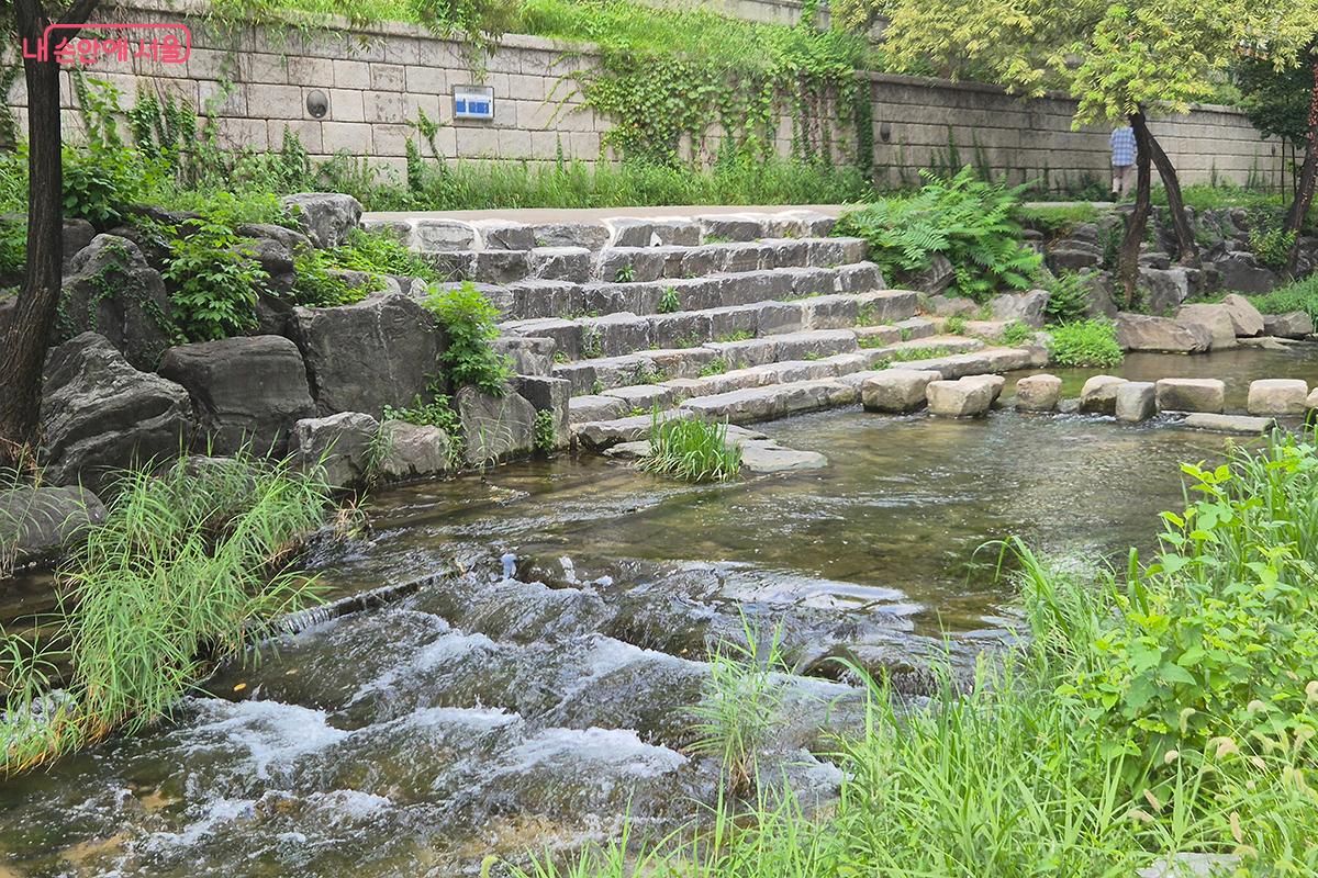 청계천은 돌과 수풀이 어우러진 도심 속 대표적인 생태 휴식처이기도 하다.