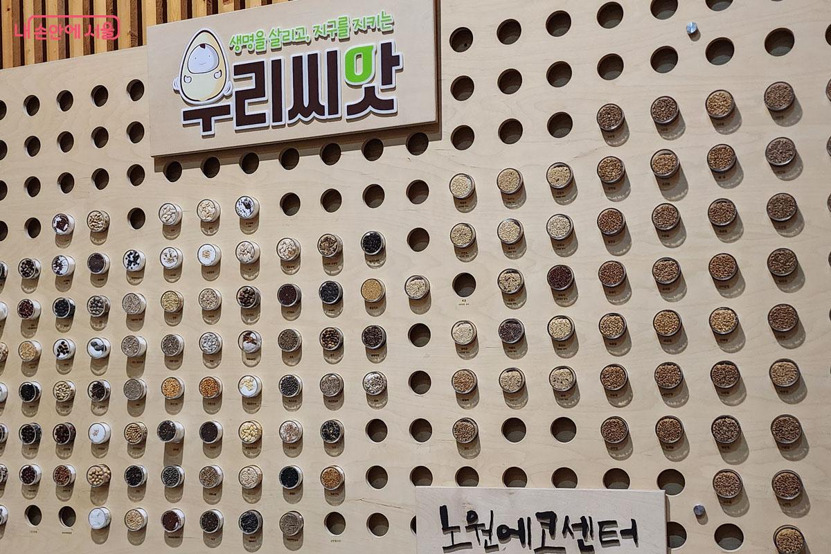 생물다양성의 가치를 느낄 수 있는 ‘우리씨앗’이 전시되어 있다. ©이진숙
