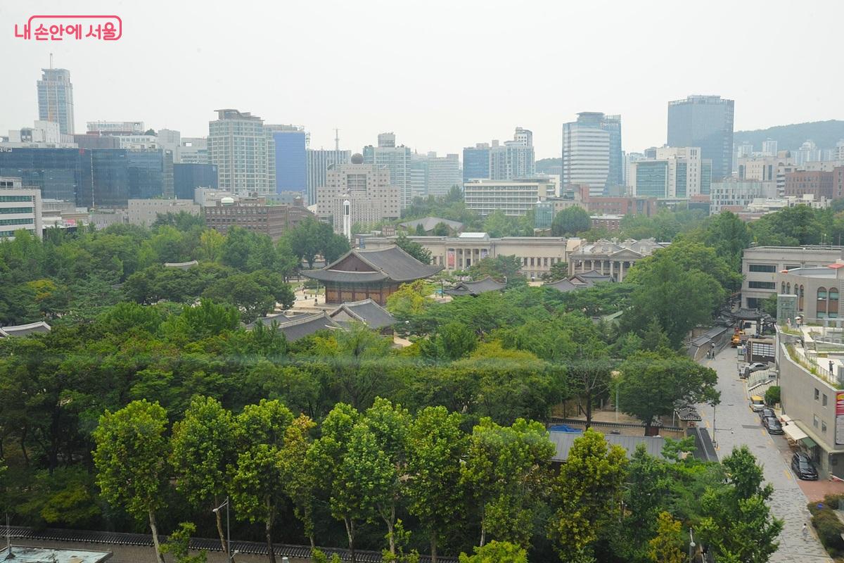 푸른 녹음 사이로 석조전을 비롯한 덕수궁의 전각들이 보인다. &copy;조수봉