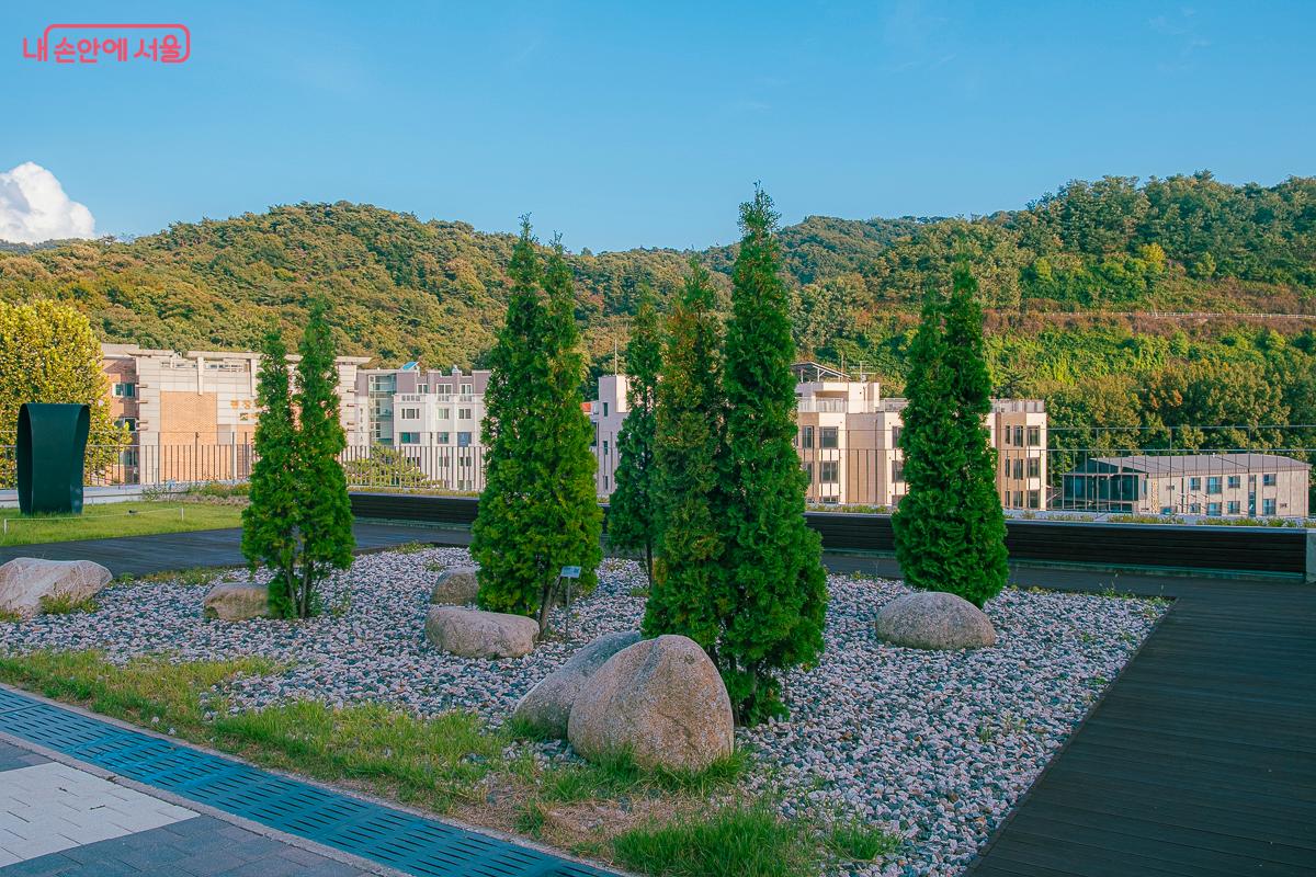 다양한 조경식물들을 볼 수 있다. &copy;김지연