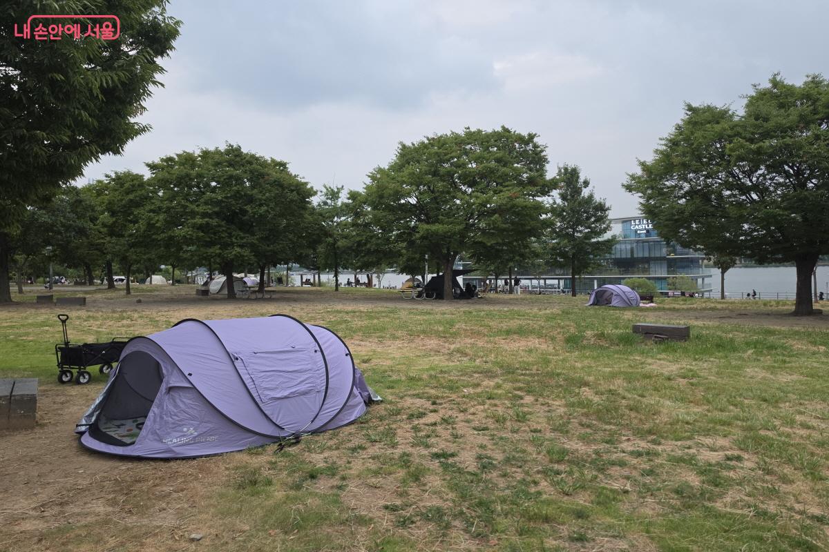 뚝섬한강공원 잔디밭