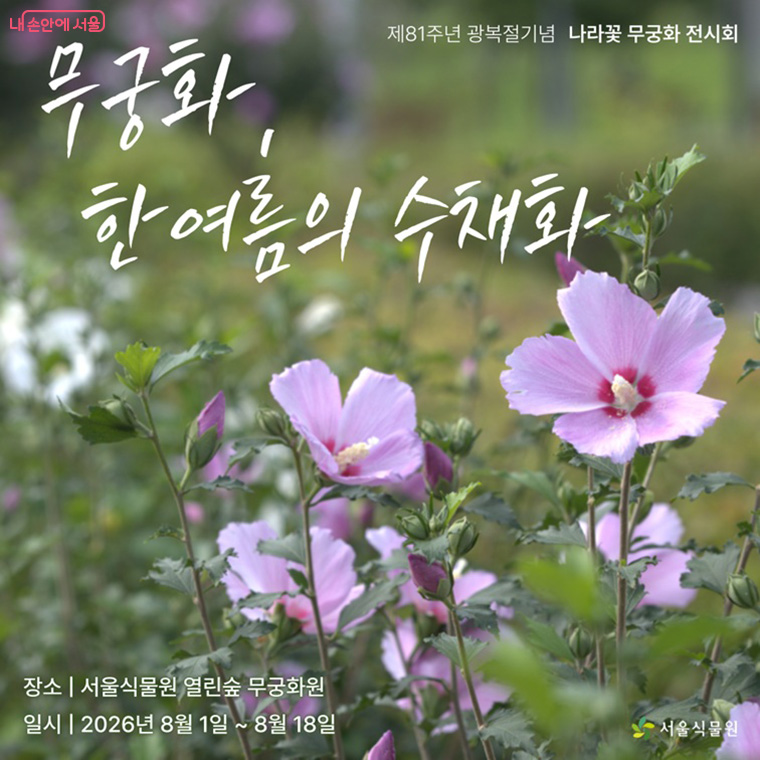 서울식물원 열린숲 무궁화원에서 ‘나라꽃 무궁화 전시회’가 열린다.