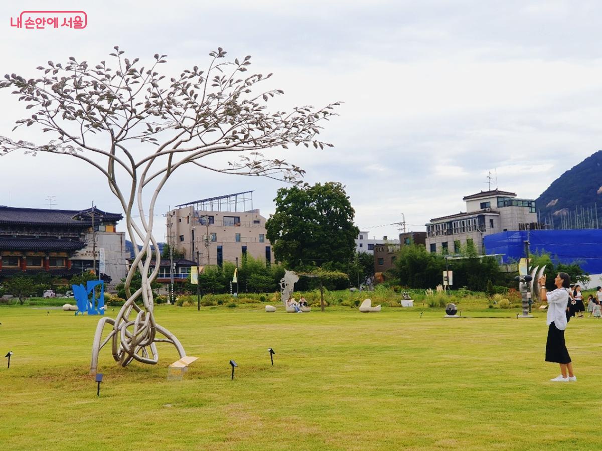 김진우 작가의 <피톤치드> ©김병규