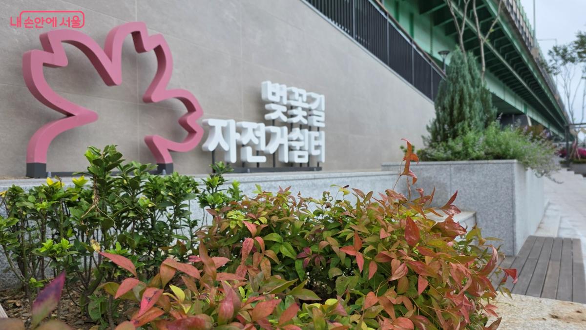 벚꽃길 자전거쉼터의 분홍빛 꽃잎과 타이포그래피가 시선을 끈다. ⓒ최용수