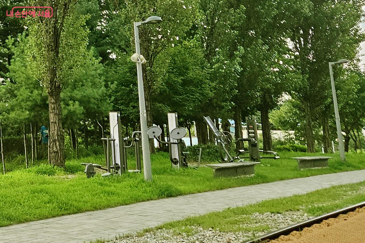 산책로에서 만난 운동기구