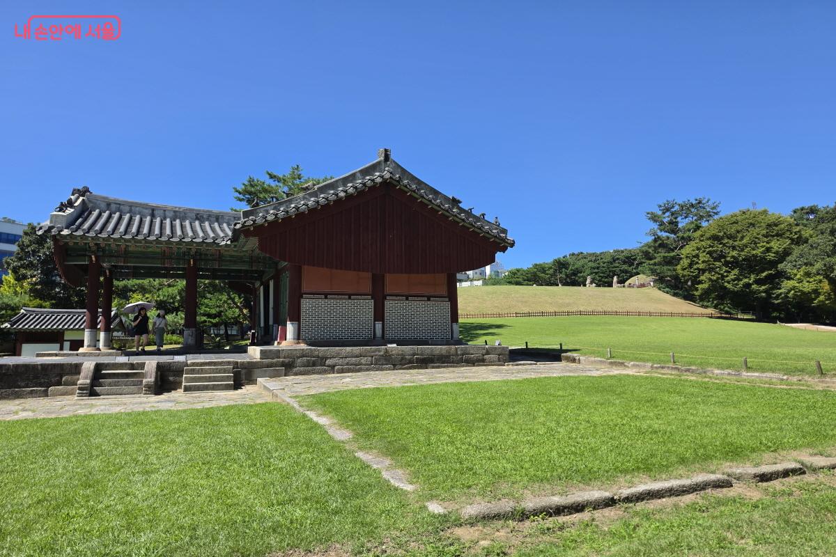 멀리서 바라본 성종의 능, 선릉 ⓒ조수연