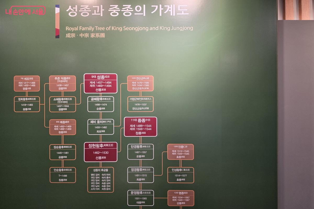 역사문화관에서는 성종과 중종의 가계도 등 왕과 관련된 이야기를 살펴볼 수 있다.