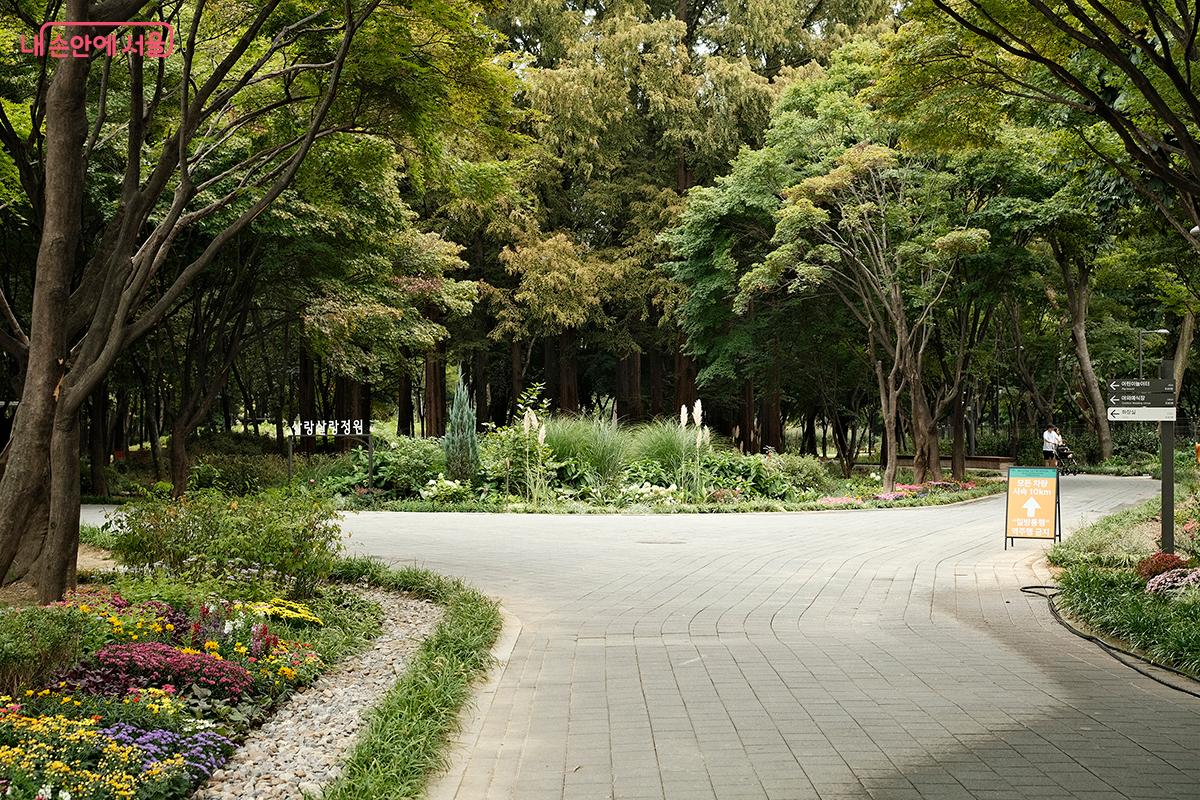 울창한 수목이 반겨주는 매헌시민의숲의 아름다운 산책로. 여러 갈래로 난 길을 따라 걷는 즐거움이 가득한 곳이다. &copy;김아름