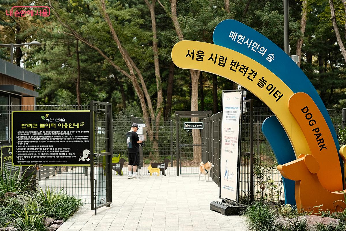 매헌시민의숲에는 &lsquo;서울시립 반려견 놀이터&rsquo;가 있다. &copy;김아름