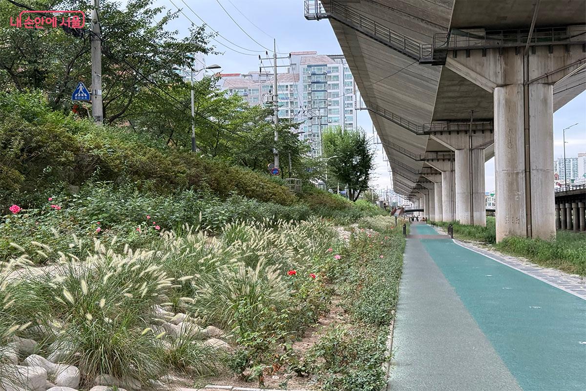 다양한 꽃과 식물들로 잘 꾸며진 정릉천 산책로 &copy;송수아