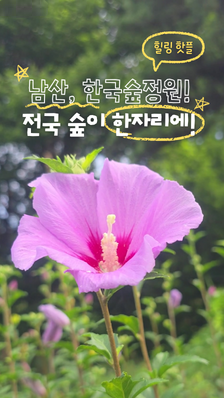 가을엔 걸어보세요...남산 '한국숲정원'에서 전국 숲 한 바퀴