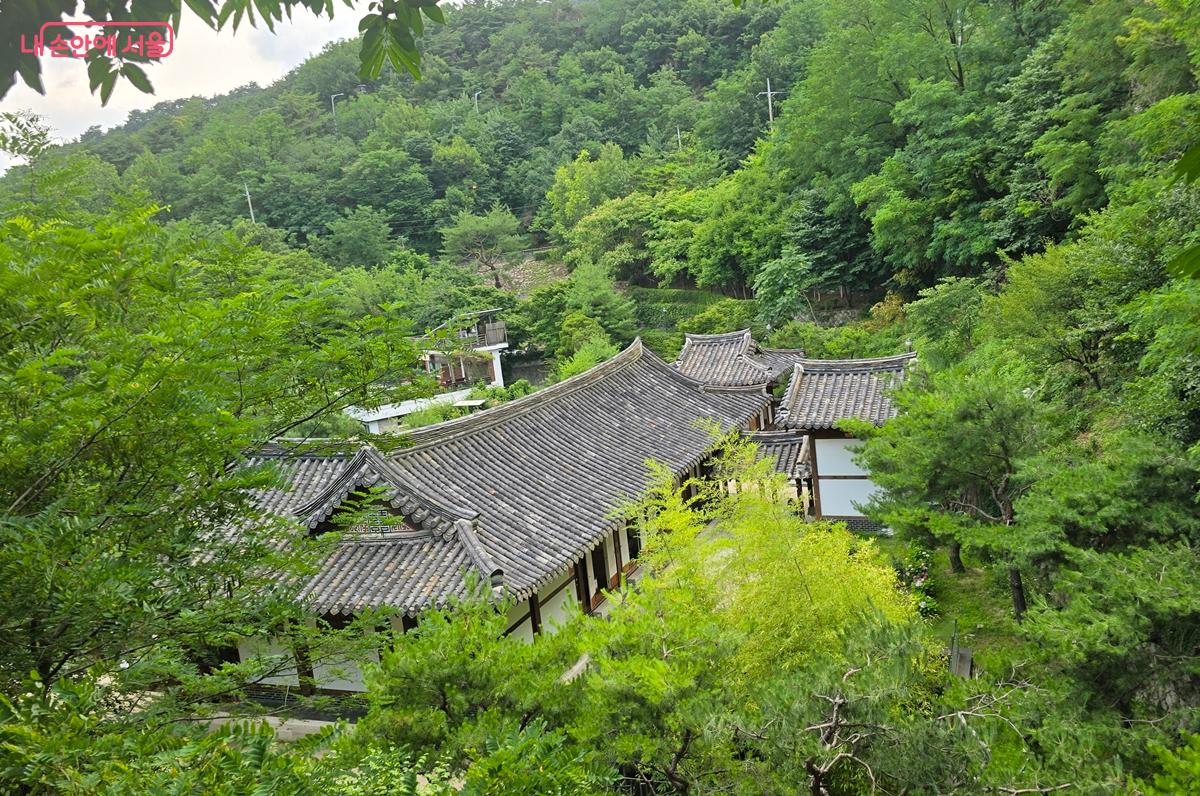 숲속 나무들 사이에 파묻혀 있는 청운문학도서관 &copy;조성희