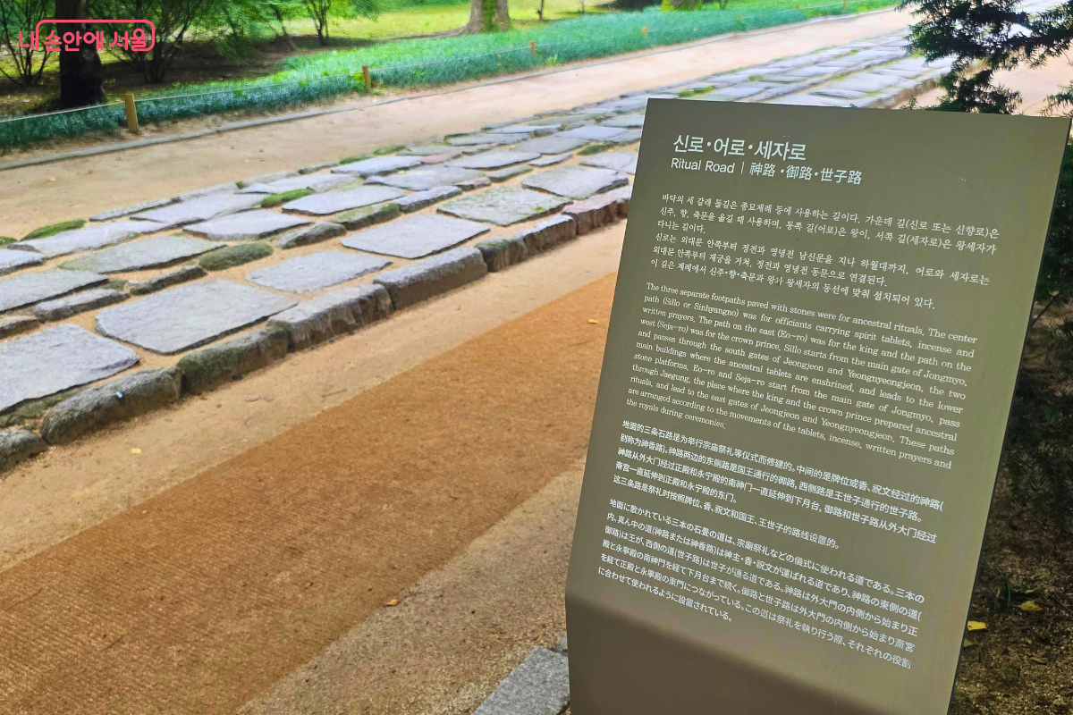 종묘의 신로&middot;어로&middot;세자로를 설명하는 안내판 뒤로 세 줄의 돌길이 길게 이어져 있다. 주변에는 흙길과 푸른 숲이 펼쳐져 있어 왕실 제례 공간의 차분한 풍경을 보여준다.