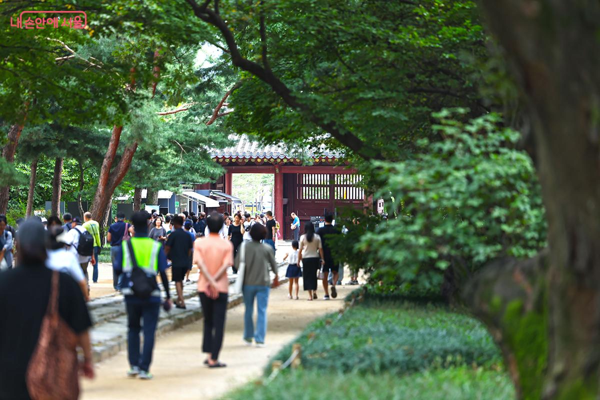 추석 연휴 무료개방으로 인해 자유롭게 출입이 가능했던 종묘의 풍경 ©김주연