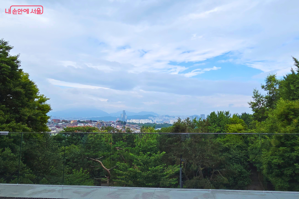 남산마루의 투명 난간 너머로 울창한 남산 숲이 펼쳐지고, 그 너머로 서울의 주택가와 고층 건물, 산 능선이 푸른 하늘 아래 한눈에 보인다.