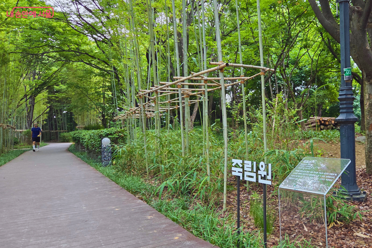 울창한 대나무가 이어진 숲길 옆에 대나무로 만든 구조물과 ‘죽림원’ 표지가 설치돼 있고, 시민 한 명이 산책로를 걷고 있다.