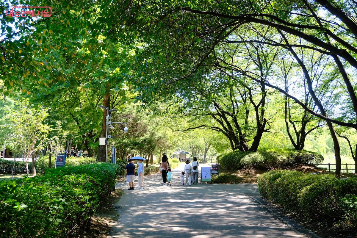 용산공원, 용산가족공원과 함께 자연스럽게 국립중앙박물관으로 이동해 봐도 좋겠다. &copy;임중빈