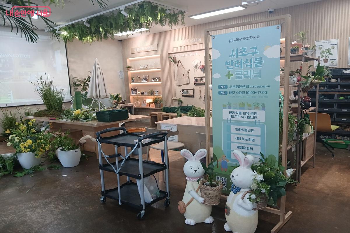 서초정원센터 내에 있는 반려식물클리닉 ©최은영