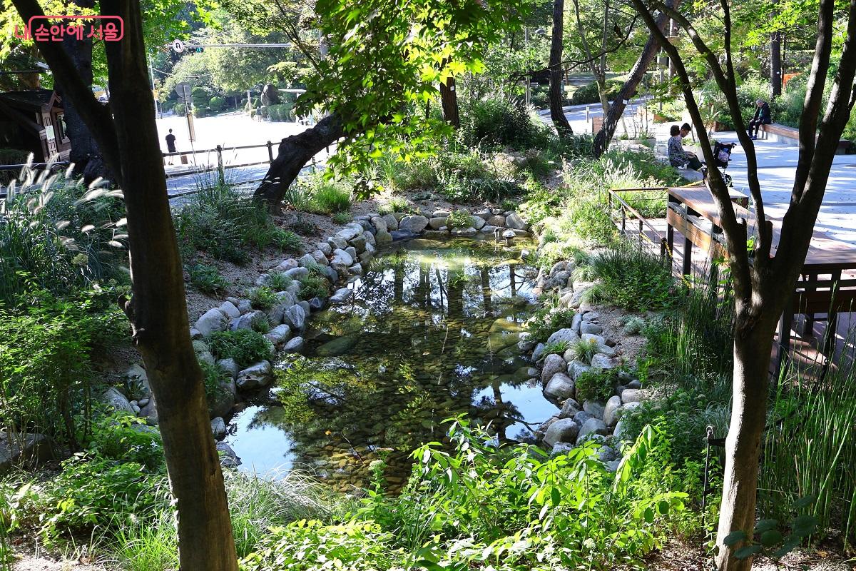 남산 하늘숲길 입구 소월정원 연못 &copy;김대진