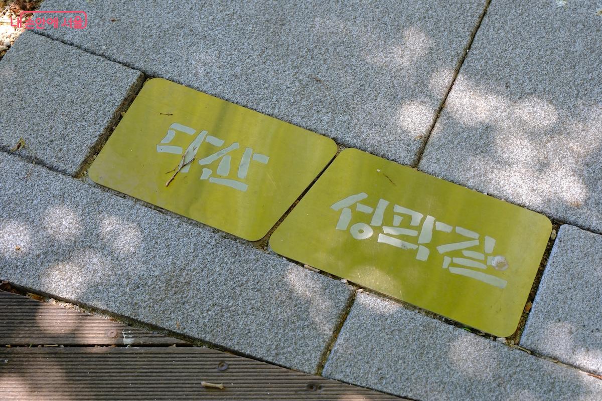 지난 7월 다산성곽길의 바닥들이 환경 개선되어 더욱 편하게 걸을 수 있게 되었다.