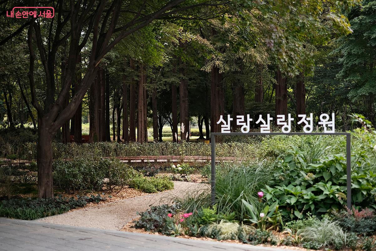 서울시립 반려견 놀이터 인근에 조성된 &lsquo;살랑살랑정원&rsquo; &copy;김아름